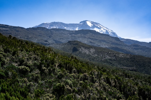 Kilimandjaro