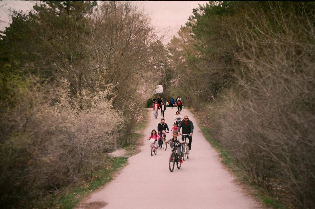Cyclistes sur un chemin de terre, en pleine nature, entourés d'arbres et de buissons